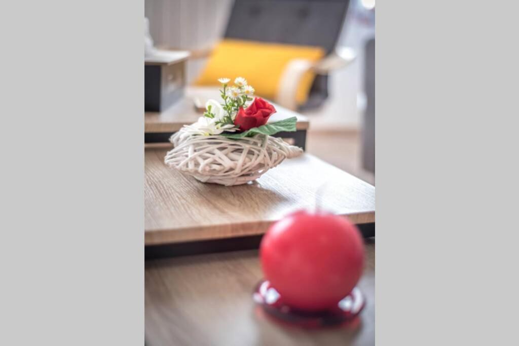 "Le Cocon" 4 Pers - Confortable - So Cozy モントーバン エクステリア 写真